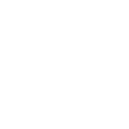 language